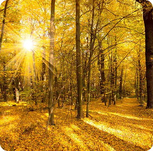 Where Positive Thoughts Live